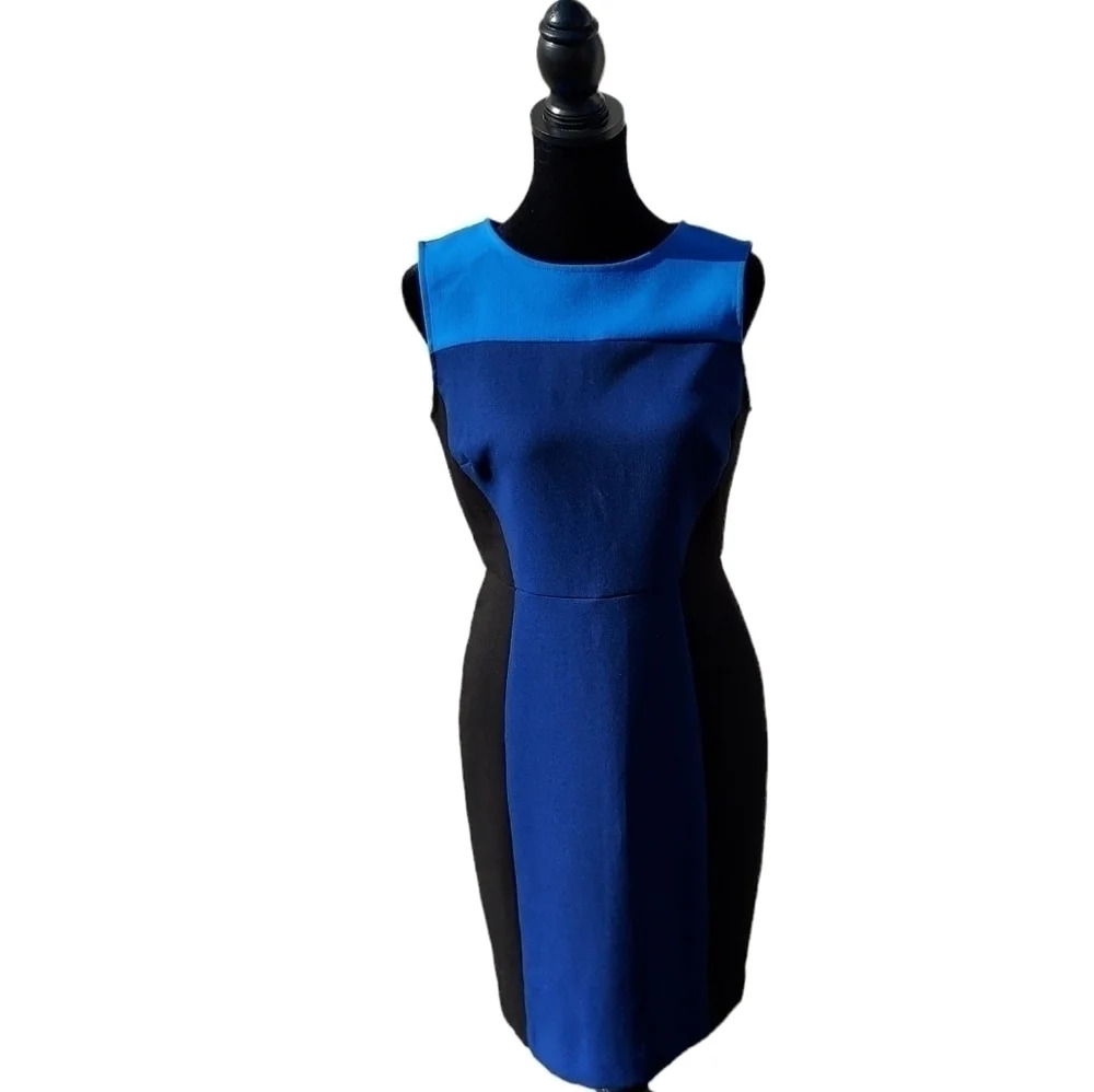 Sleeveless Colorblock Sheath Dress in Blue and Black